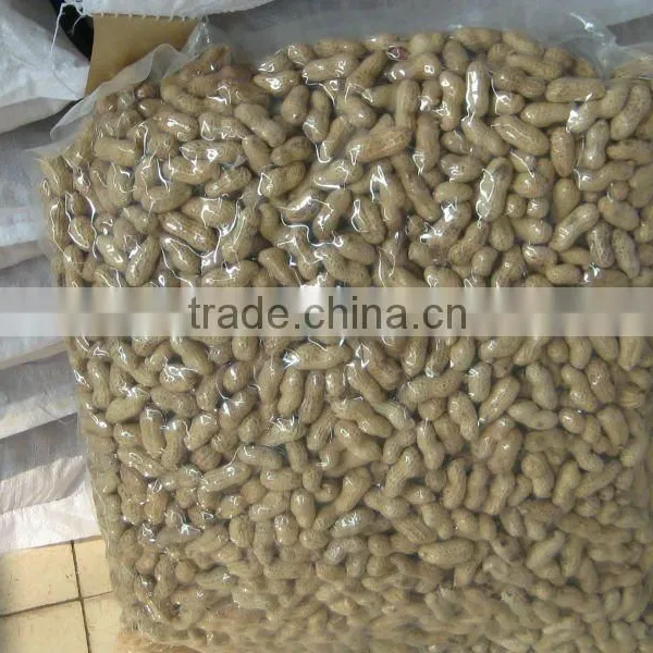 Chinese Roasted Peanuts in Shell