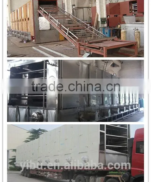 Mango Mesh-belt Dryer for Foodstuff Industry photo-5