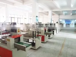 Swiss Roll Cake Packaging Machine DCTWB-250X photo-4