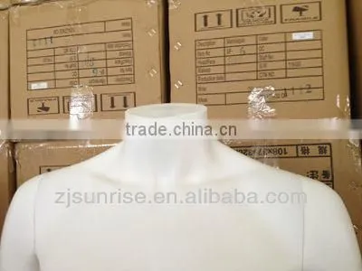 Hot Sale Fashion and Decent Plastic Mannequin Without Head