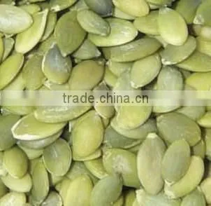 Organic Pumpkin Kernel photo-2