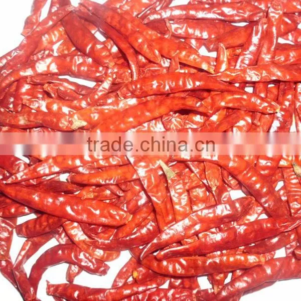 Whole Chilli photo-2