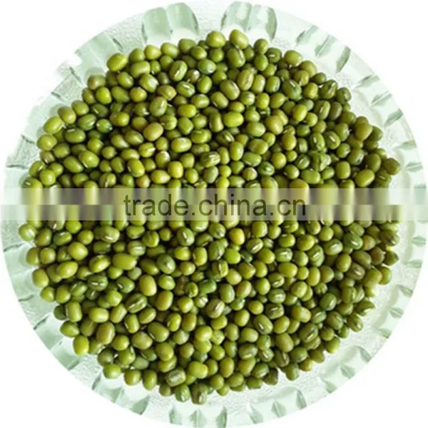 JSX in Vigna Beans Myanmar Pulses Dalian High Quality Export Green Beans photo-6