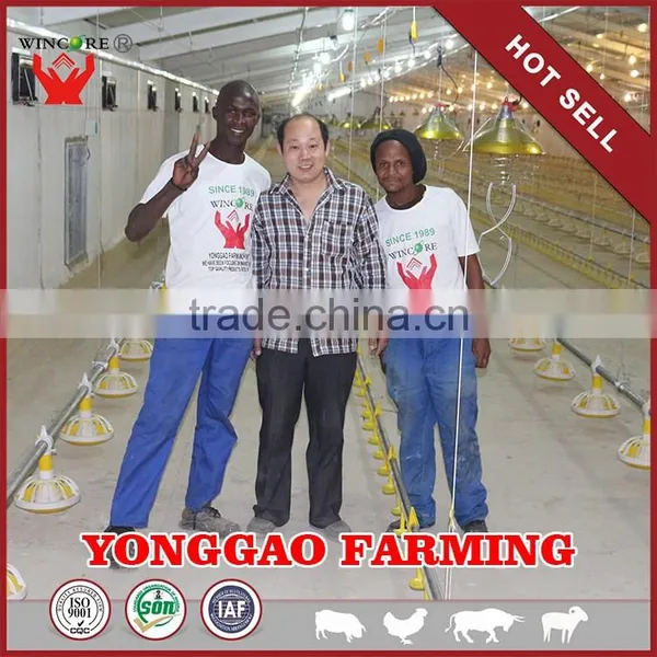 Automatic Poultry House Animal Feeding Line for Broiler Chicken Poultry Equipment in Animal Feeding System