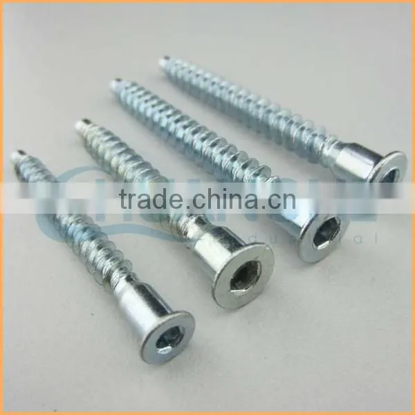 China Factory Sales Stainless Steel Furniture Screws and Fasteners photo-4