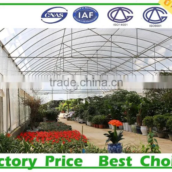 High Tunnel Plastic Agricultural Greenhouses for Sale photo-2