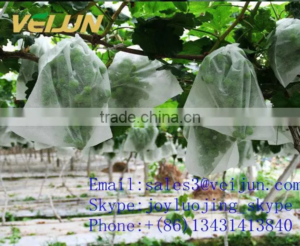 Supply Non-woven pp Agriculture Fabric