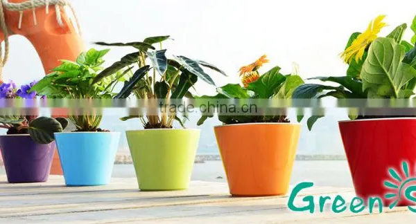 Cheap Succulent Planter Small Flower Pots photo-3