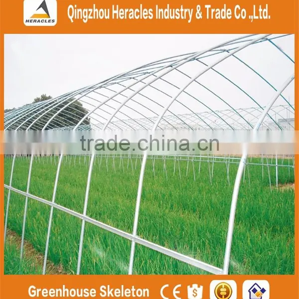 Heracles Low Cost Poly Tunnel Greenhouse photo-5