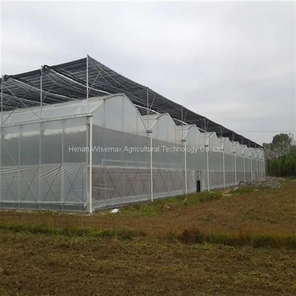 Agriculture Tomato Vegetable Double Plastic Film Inflatable Greenhouse photo-3
