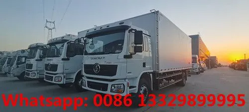 Factory Sale Best Price Euro 5 Diesel 10T-15T Refrigerated Truck Fidge Truck for Philippines for Sale photo-3