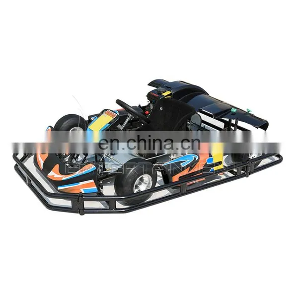 Outdoor Playground Games Racing Car Adults Racing Car for Sale photo-2