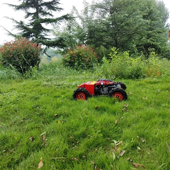 Remote Controlled Lawn Mower, China Rechargeable Brush Cutter Price, Pond Weed Cutter for Sale photo-3