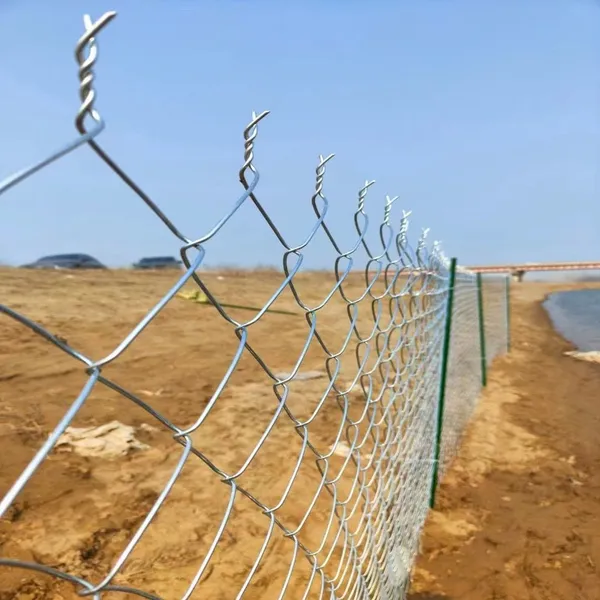 Galvanized Chain Link Fence With 2.5mm Wire Diameter for Industrial Security photo-2