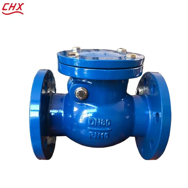 DIN H44T Cast Iron Swing Check Valve Flanged Metal Ball Type Non Return Valve One Way Flow Control Valve photo-6