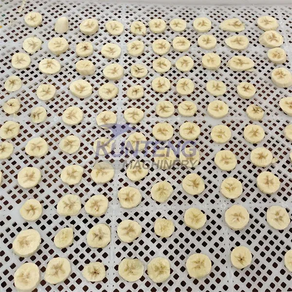 Fruit Dehydrating Plant Can Transform the Plantain Fresh Into Flourdrying Equipment Plantain Powder Processing Drying Machine EPC photo-3