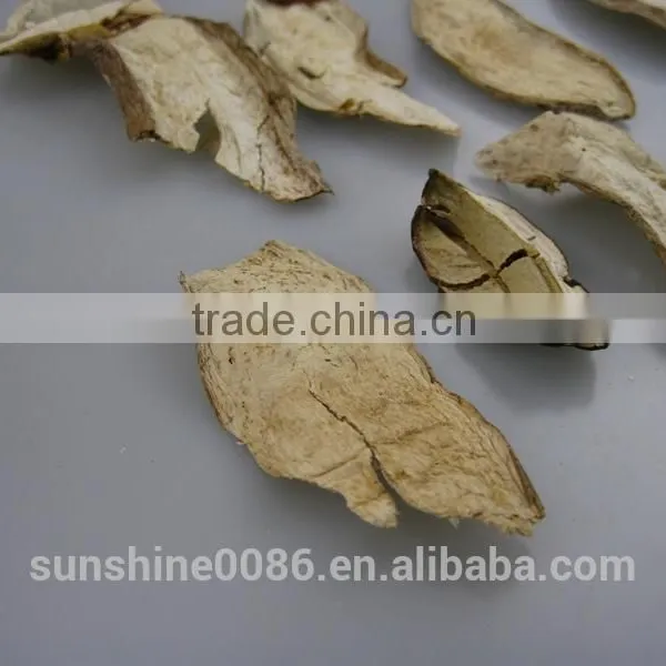 Chinese Mushrooms Dried Boletus Slices From Pollution-free Mountains photo-3