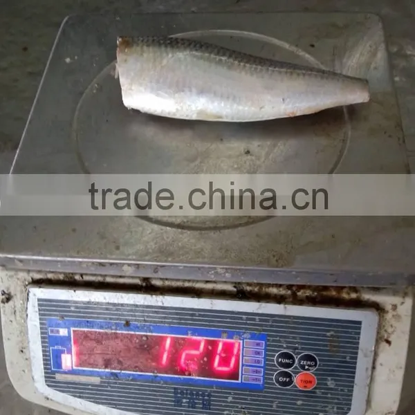 Head off Gutted Tail off Frozen Sardine Fish and Sardinella Longiceps photo-4