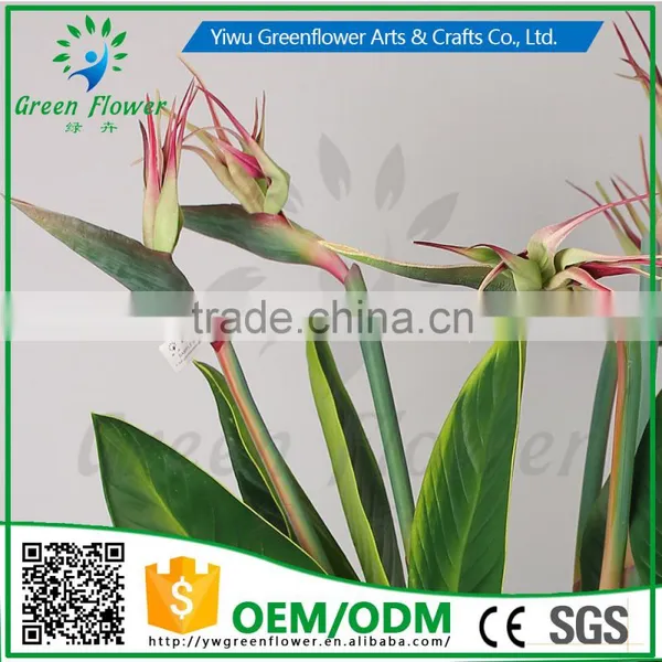 Greenflower 2016 Real Touch PU Latex Artificial Flowers Strelitzia Reginae for Gift Weddings Decorations photo-2