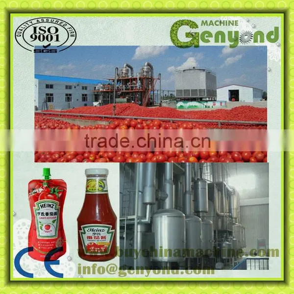 Tomato Ketchup Processing Machine Production Line photo-4