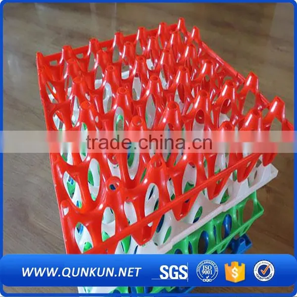 Wholesale Price Eggs Packaging photo-6