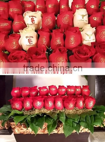Digital Red Rose Printer,printe White Ink on Flowers,beautiful Flower Printer photo-4