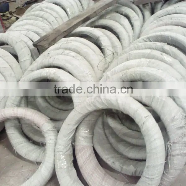 Gold Supplier Low Price Electro Galvanized Iron Wire photo-4