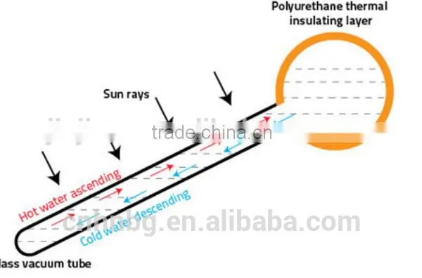 2016 Best Quality Vacuum Tube Type Sun Solar Heater(Manufacturer) photo-3