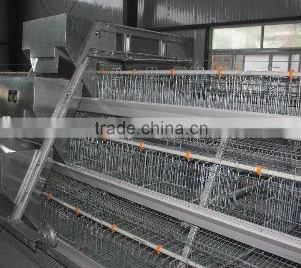 Chinese Factory Design Steel A Type Laying Cages for Chicken