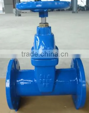 Ductile Iron Gate Valve photo-4