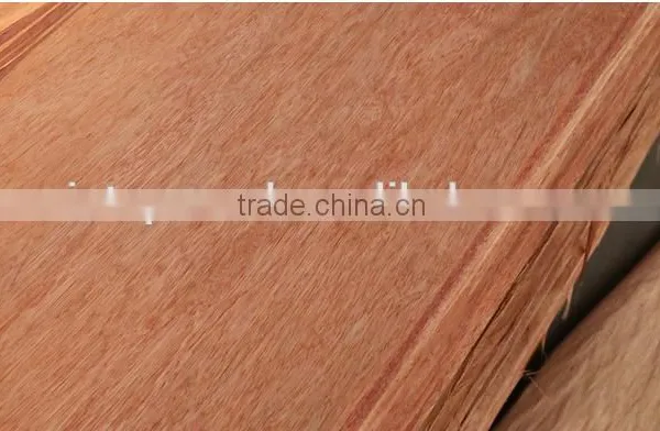 Rotary Cut Bintangor Wood Face Veneer for Plywood photo-2