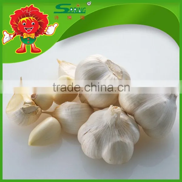 Chinese Cheap Garlic Wholesale Garlic 5.0-6.0cm China Garlic Price 2013 photo-3