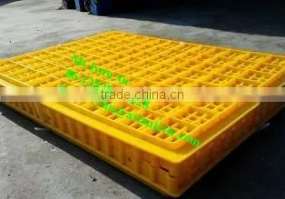 Plastic Live Chicken Transport Cages photo-3