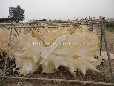Dog Chews Gelatin