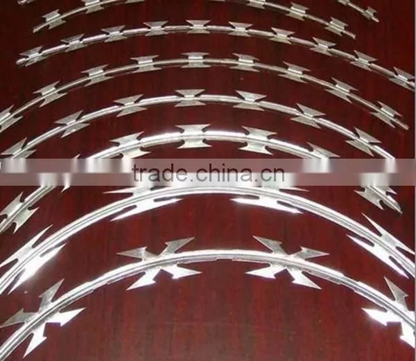 High Quality Low Price Razor Barbed Wire in China ( Manufacturer) photo-5