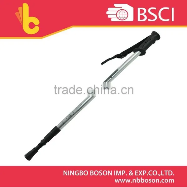 Rattan Cane