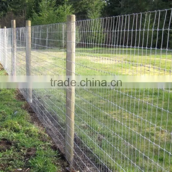 ISO9001 Professional Manufacturer High Zin Coated Galvanized Prairie Fence Net photo-5