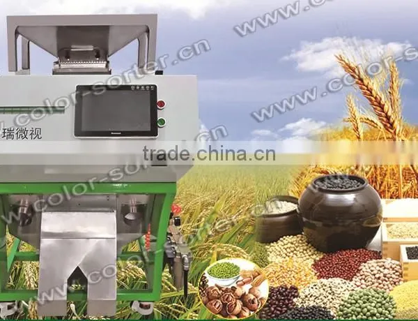 Color Sorter Equipment / Wheat Color Sorter Supplier