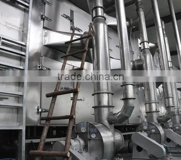 Papaya/pawpaw Multiple Layer Continuous Type Mesh Belt Dryer photo-4