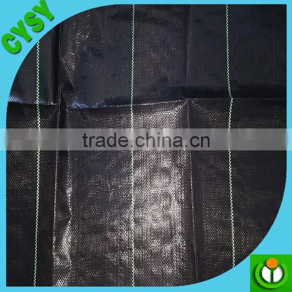 PP Ground Cover,weed Barrier Fabrics, Weed Mat in Strawberry Garden photo-2