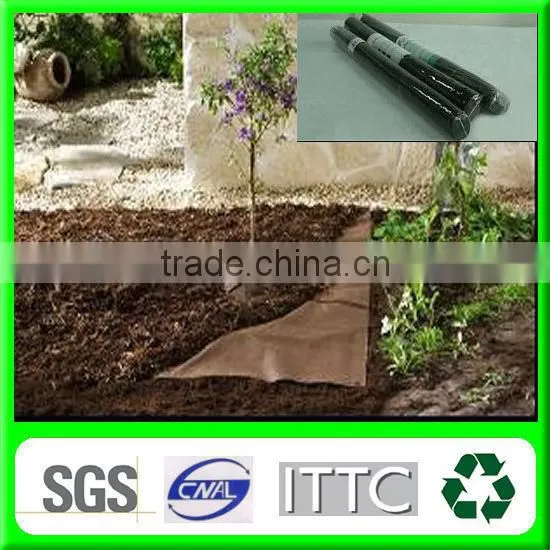 PP Spunbond Nonwoven Fabric for Agriculture Use photo-2