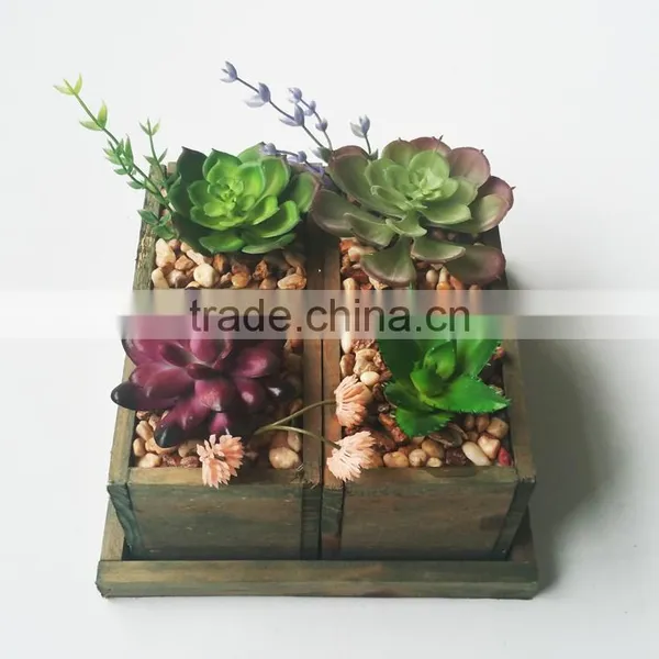 Wholesale Ornamental Plants Small Plastic Succulent Plant Bonsai photo-6