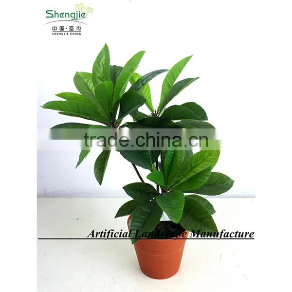 SAS201601 Artificial Green Foliage Plant Bonsai photo-6