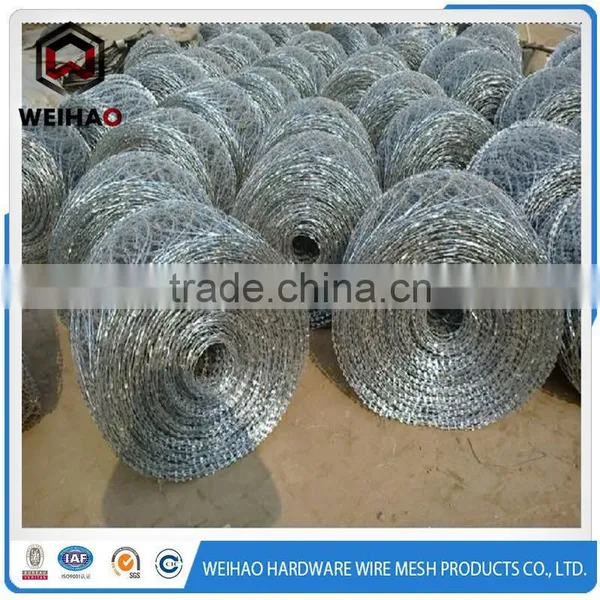Razor Barbed Wire Used as Barrier photo-6
