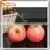 Wholesale Different Style Of Artificial Fruit For Decoration Artificial Fruit Ornaments photo-5