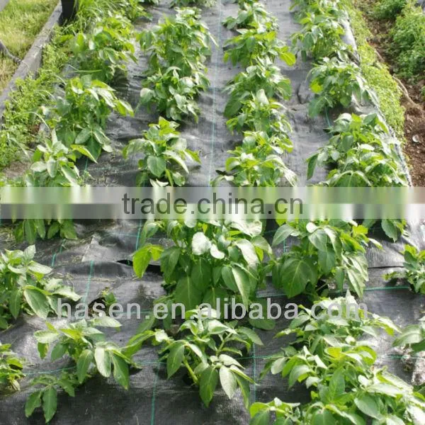 White pp Fabric for Agriculture Cover photo-2