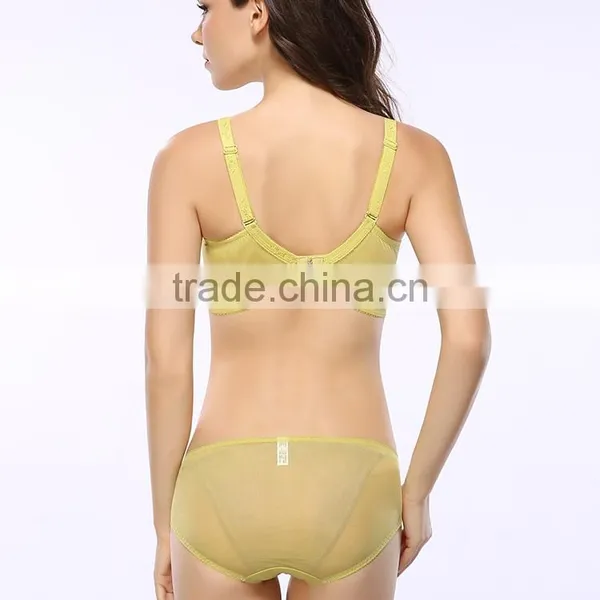Made in China Ladies Net Sexy Panty Set Ladies Latest Design Bra photo-2