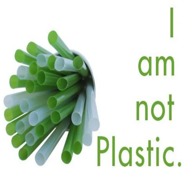 PLAstraw Disposable Suction Pipe Environmentally Degradable photo-3