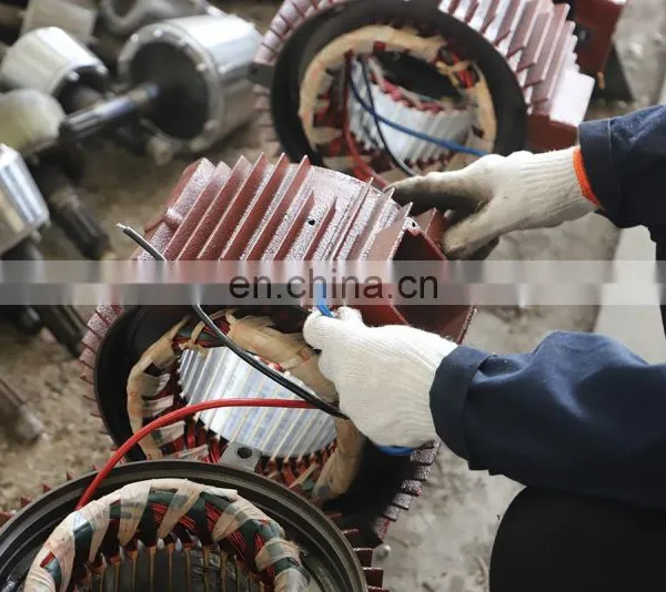 Construction Motor Yez Type Conical Rotor Brake Electric Motor photo-5