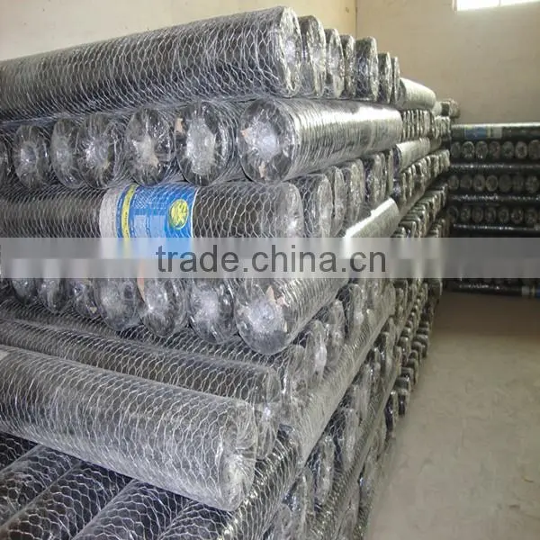 Gold Supplier Hexagonal Wire Netting(ISO and SGS) photo-5